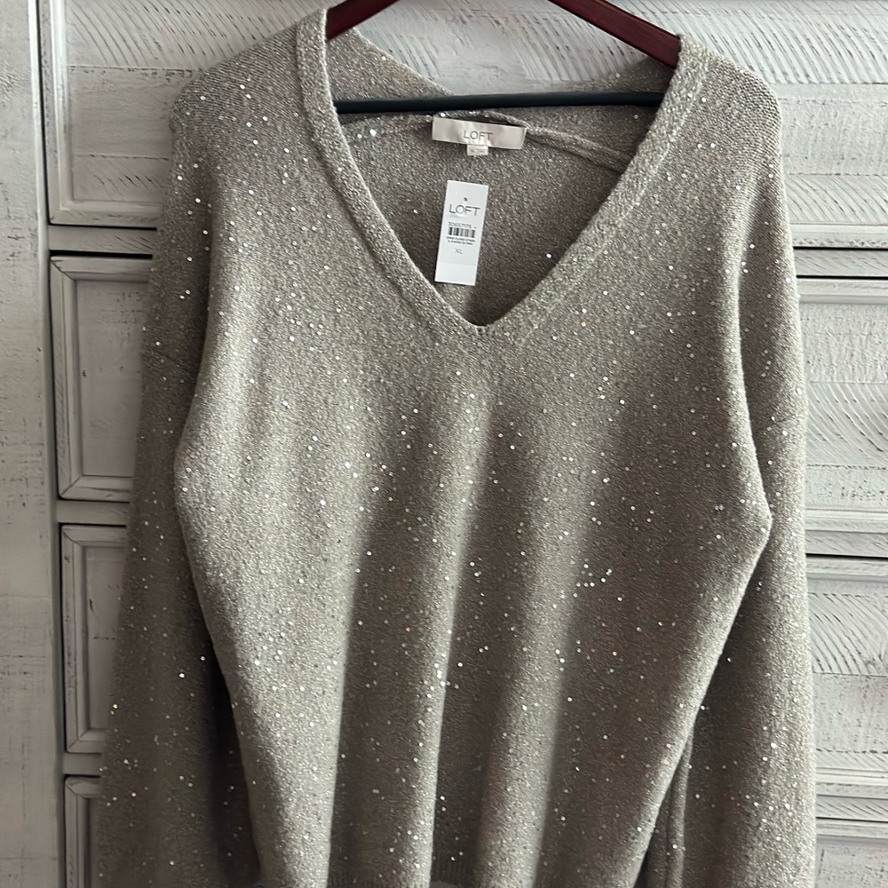 Loft Sequin Sweater
